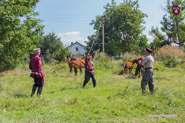 Черноморские казаки провели тренировочный полевой сбор