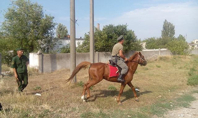 На базе хуторского общества Крыма казаки подготавливают конное отделение