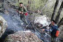 Севастопольские казаки ежедневно патрулируют лес