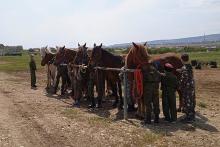 Феодосийские кадеты провели плановое занятие на конюшне  